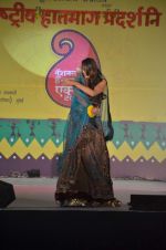 at Handloom fashion show by NIFD in Bandra, Mumbai on 27th Feb 2012 (9).JPG